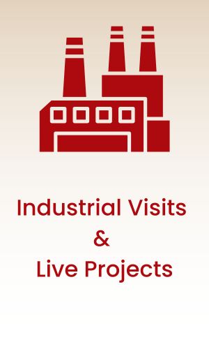 Industrial visits & live projects